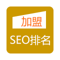 ͭSEO˾